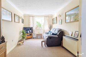 Photo 4- click for photo gallery